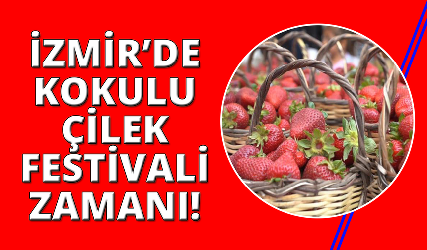 İzmir'de çilek festivali var
