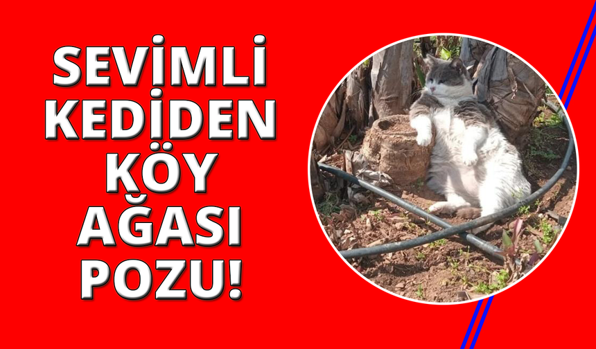İşçiler çalıştı, o keyfini bozmadı, köyün ağası gibi poz verdi
