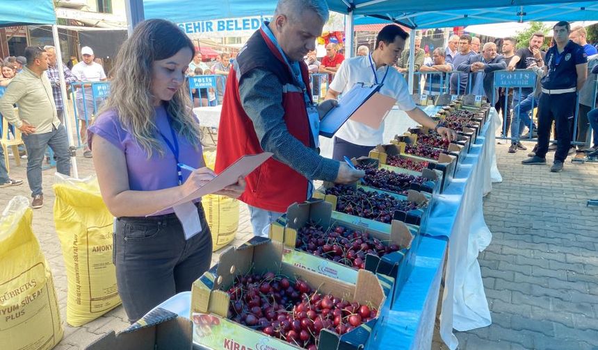 Manisa'da yılın en güzel kirazı seçildi