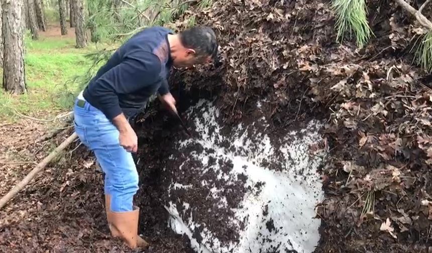 Dağların zirvesinde depolanan kar, Haziran sıcağında serinliğe dönüştü