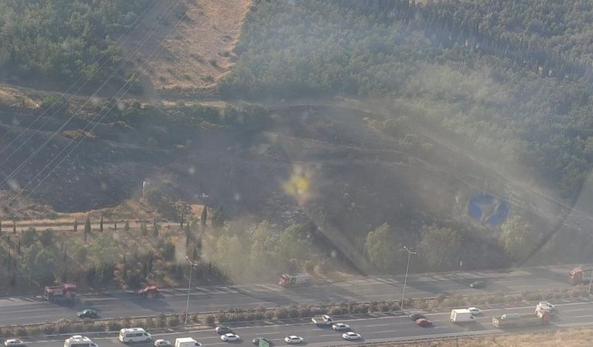 İzmir'de tır alev aldı, ormanı tutuşturdu