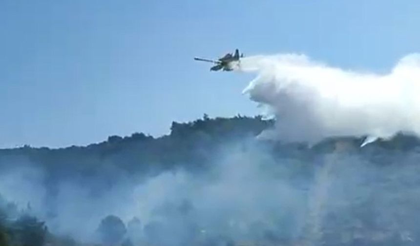 Kuşadası'nda orman yangını