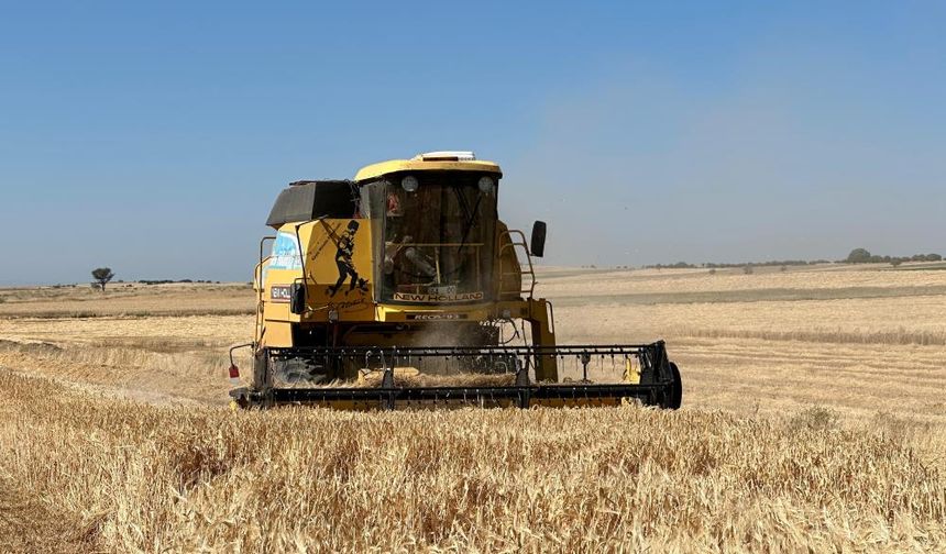 Uşak’ta arpa ve buğday hasadına başkandı