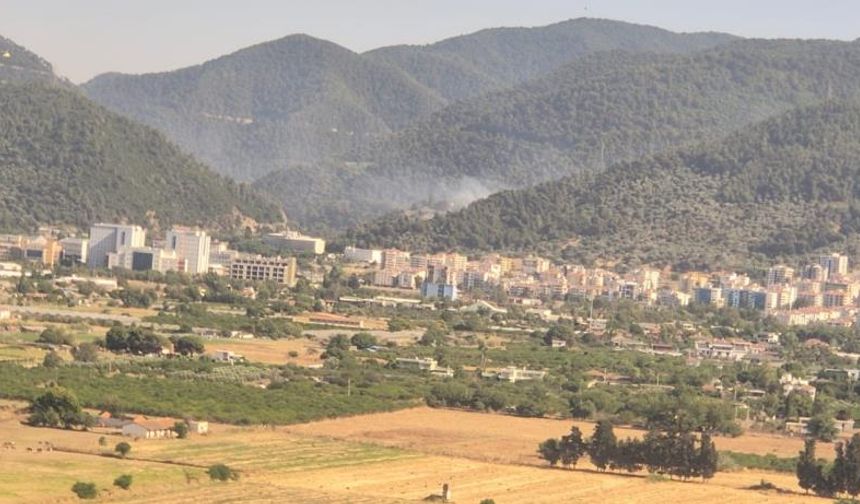 İzmir'deki orman yangınları kontrol altında