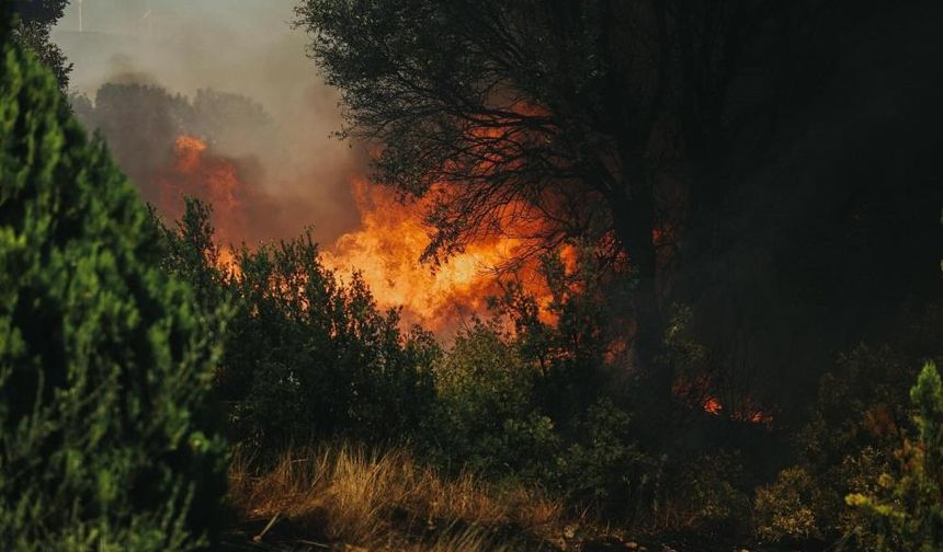 Aydın'da çiftçilere yangın uyarısı: Hasatta tedbirli olun