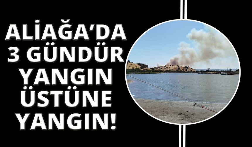 Aliağa’da bir orman yangını daha