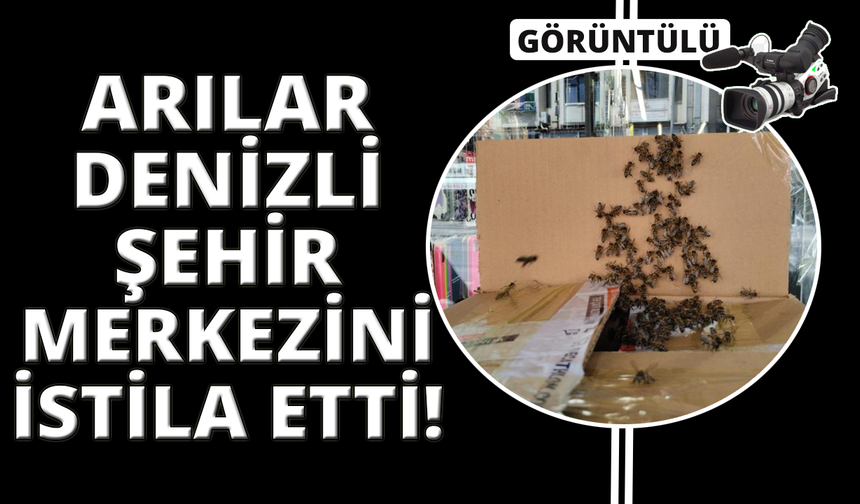 Arılar Denizli şehir merkezini istila etti