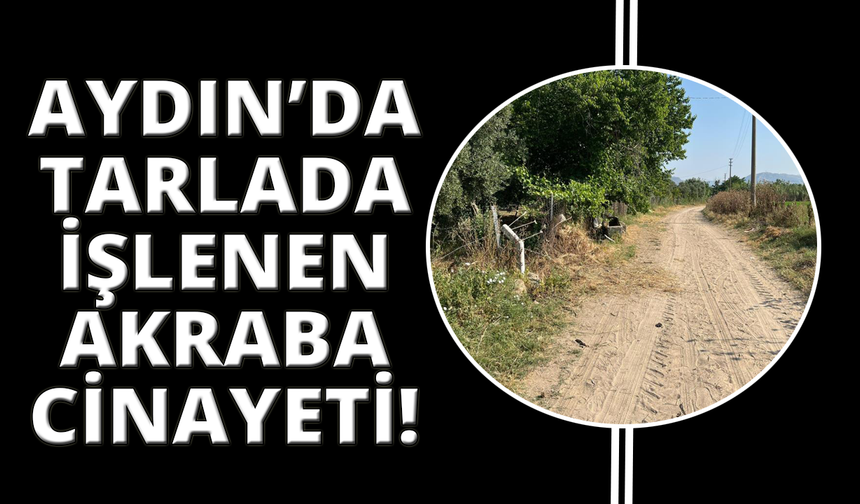 Tarlada ekin sulayan akrabasını vurdu