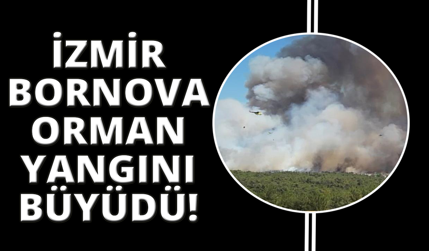 Bornova'daki yangın büyüdü, müdahale sürüyor