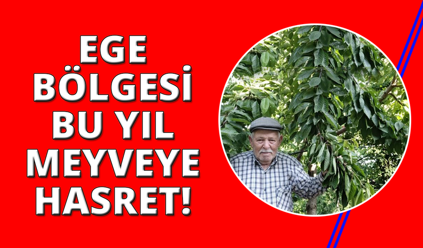 Ege bu yıl meyveye hasret