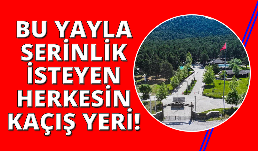 Kefe Yaylası doğa tutkunlarını bekliyor
