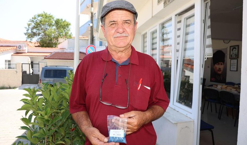 İzmir'de belediye karpuz tohumu dağıtıyor