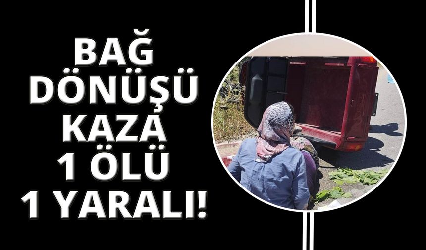 Manisa'da bağdan dönen kadınlar kaza yaptı