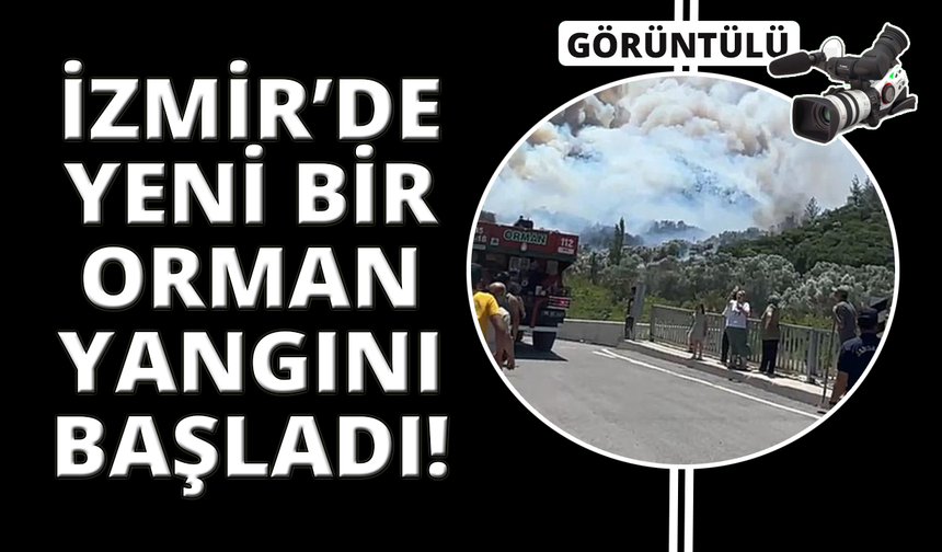 İzmir Menderes'te orman yangını