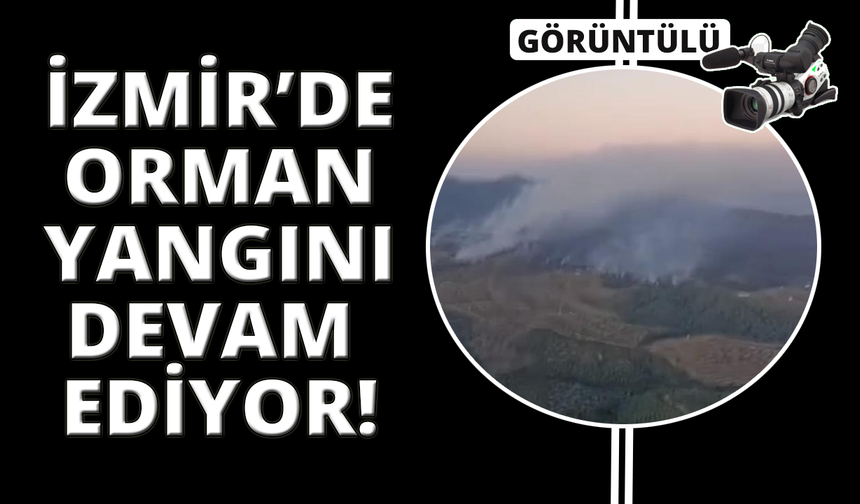 İzmir'de orman yangını sürüyor