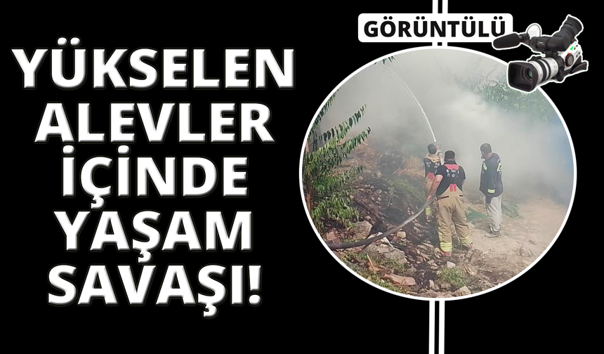 Manisa'da alevlerin içinde hayatta kalma mücadelesi