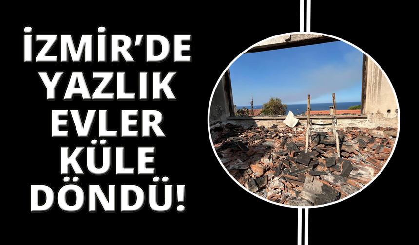 İzmir'deki yangında evlerin yandığı bölge havadan görüntülendi
