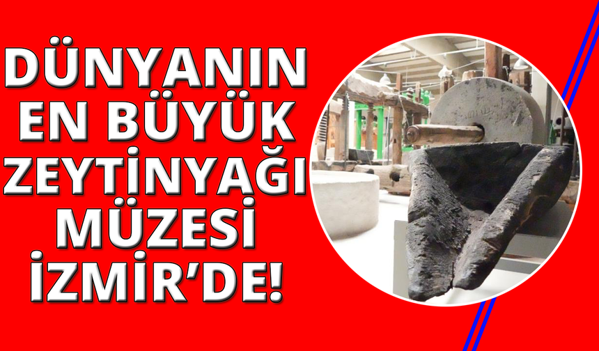 İzmir'deki bu müze Anadolu zeytin kültürünü dünyaya tanıtıyor