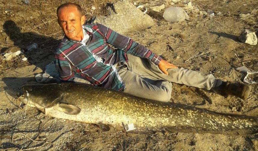 Manisa'da boyu kadar balık yakaladı