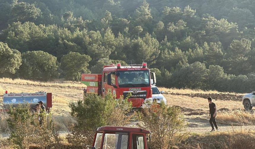 Uşak’taki orman yangınıyla ilgili 2 kişi gözaltına alındı