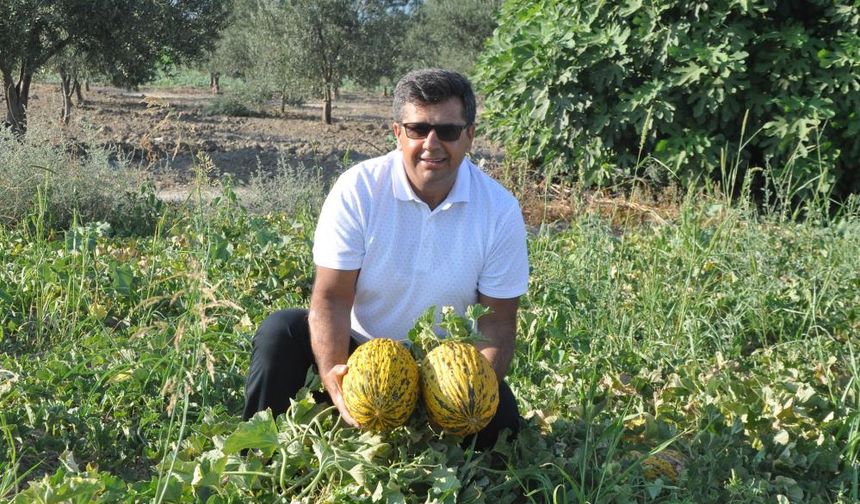 Kırkağaç Kavunu AB’den tescil alan 38. ürün oldu