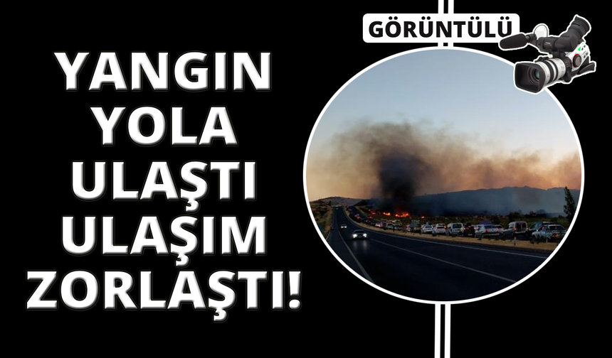Aliağa'daki yangın Çanakkale-İzmir yoluna ulaştı, sürücüler zor anlar yaşadı