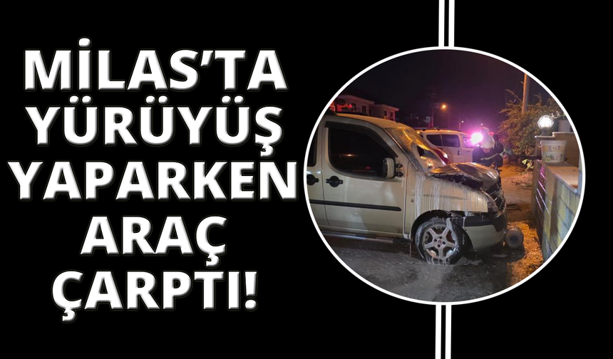 Yürüyüş yaparken otomobilin çarptığı adam hayatını kaybetti