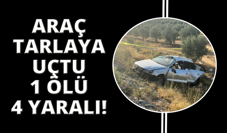 Manisa'da otomobil zeytin bahçesine uçtu