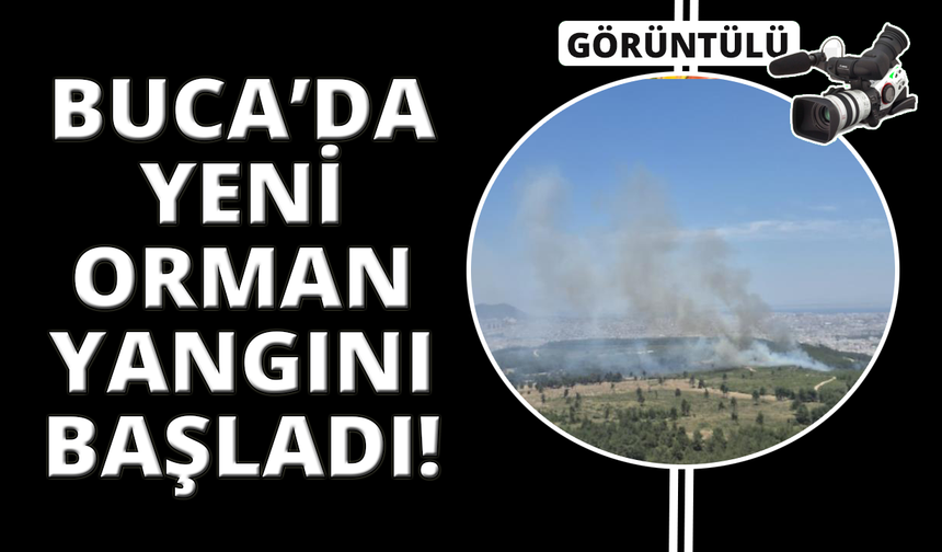 İzmir'de yeni orman yangını