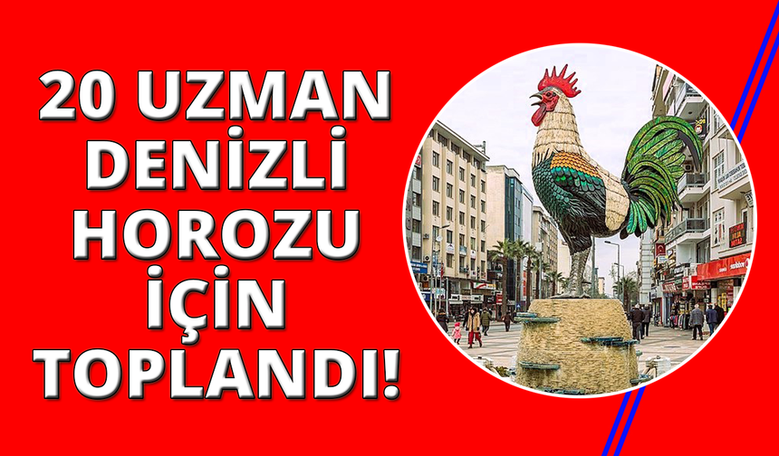 20 ilden uzmanlar Denizli Horozu'nun geleceği için buluştu