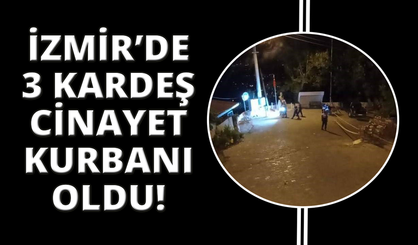 İzmir'de arazi kavgasında üç kardeş cinayete kurban gitti