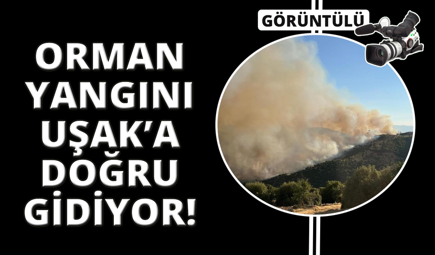 Manisa'daki yangın Uşak'a doğru ilerliyor