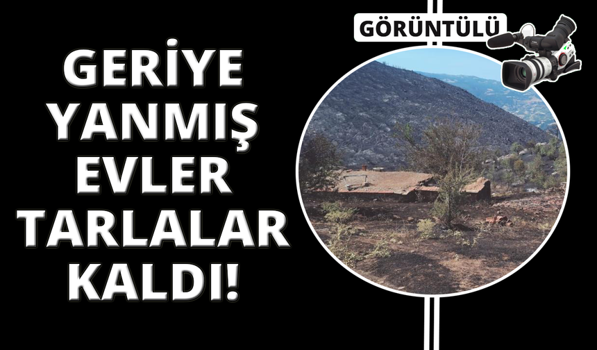 Manisa'da yangından geriye küle dönen evler ve tarlalar kaldı