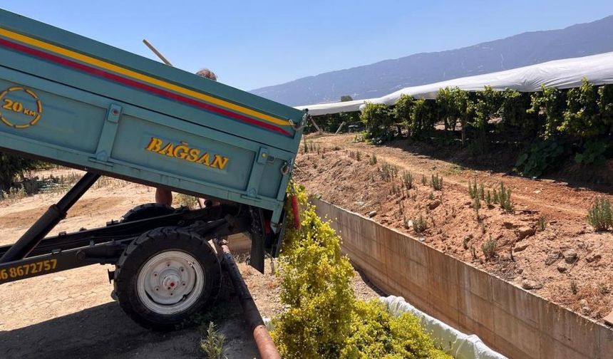 Sarıgöl’de çıkma üzüm 16 TL’ye yükseldi