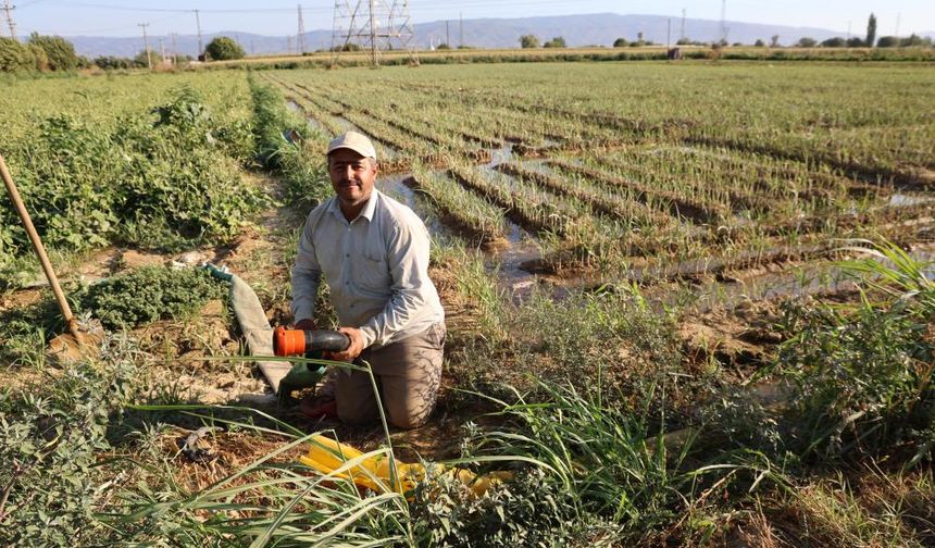 Aydın'da su kıtlığı çiftçilerin mesai saatlerini değiştirdi
