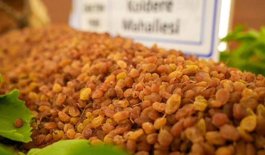 Manisa'da yılın ilk kuru üzümü 3 bin 500 TL'den alındı