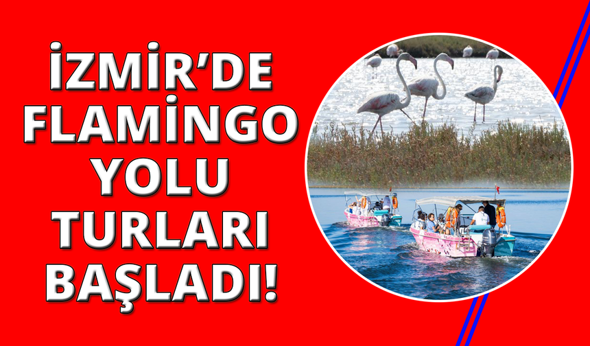 İzmir'de Flamingo Yolu turları başladı