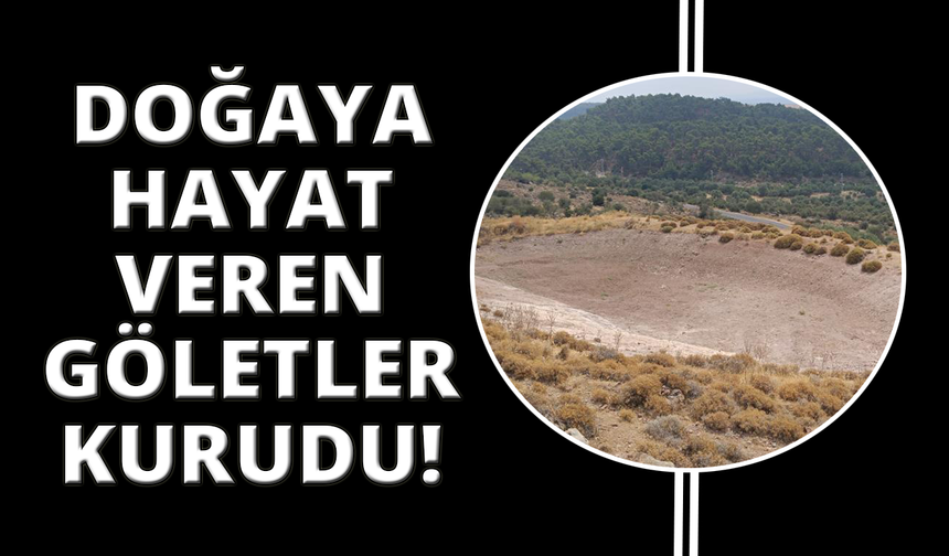 Manisa'da köylüye ve doğaya hayat veren göletler kuruyor