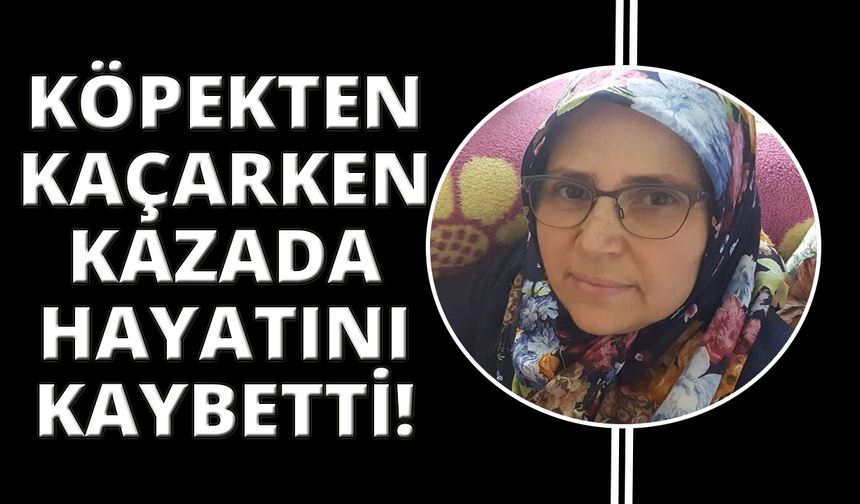İzmir'de köpeklerden kaçan kadın kazada hayatını kaybetti