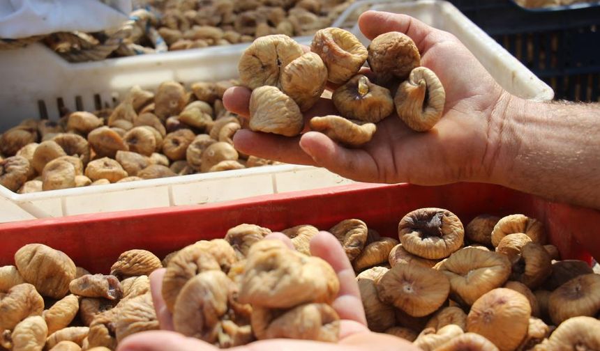 TARİŞ alımları erken kapattı, üretici tüccara tepki gösterdi