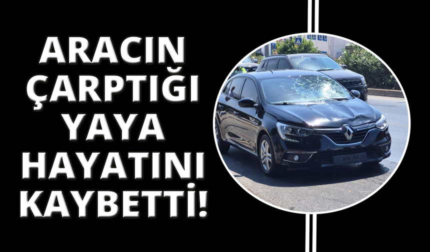 Bodrum'da otomobilin çarptığı yaya kurtarılamadı