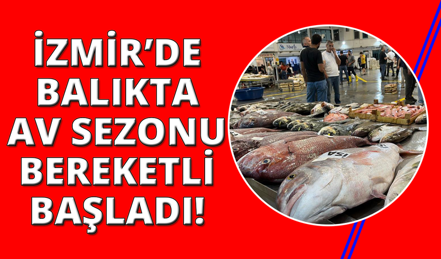 Av sezonu başladı, İzmir Balık Hali bereketle doldu