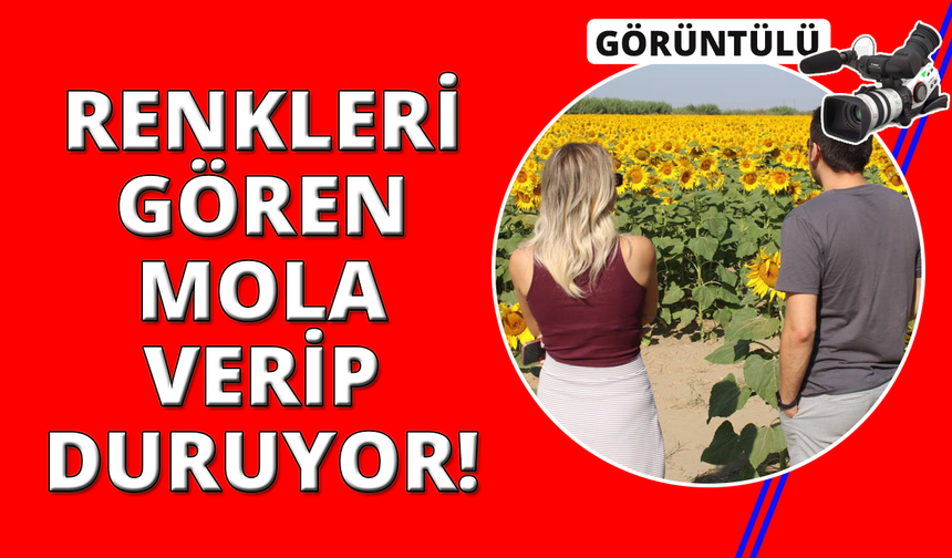 Manzara vatandaşlara yol kenarında mola verdiriyor
