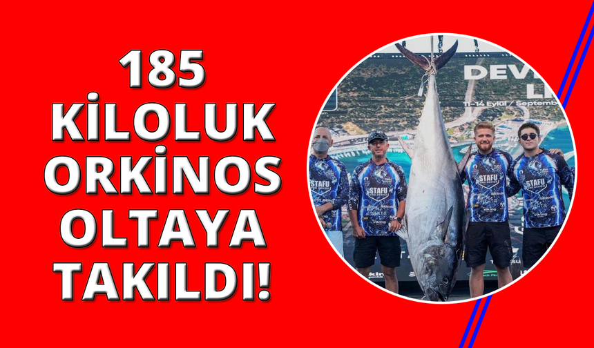 İzmir'de 2.5 saat mücadeleyle 185 kiloluk dev orkinos yakalandı