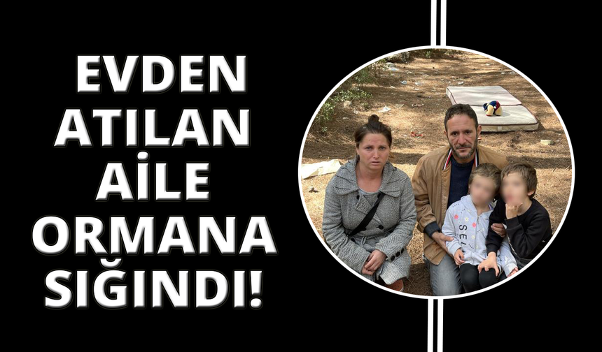 İzmir'de evden atılan aile ormana sığındı