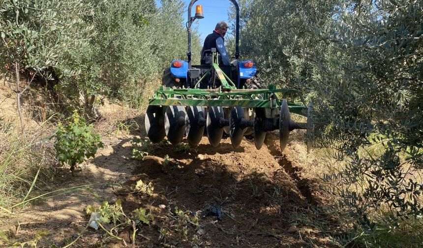 Alaşehir'de çiftçilerin yağmur sevinci