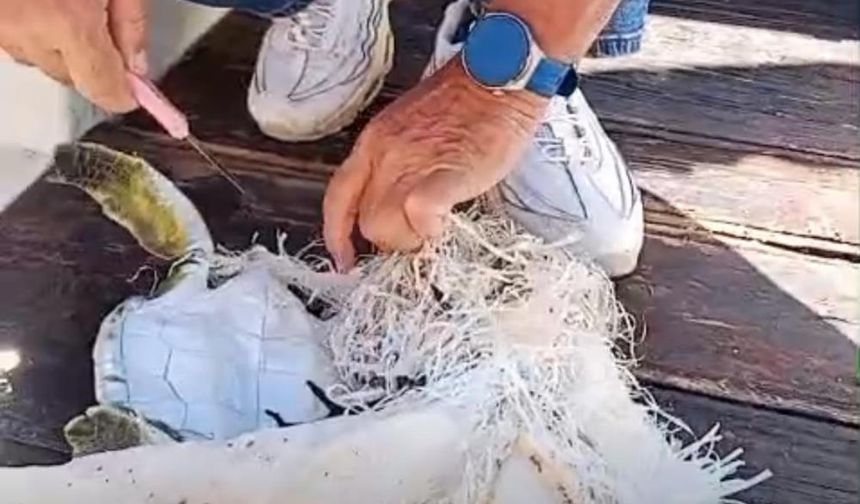 Çuvala dolanan deniz kaplumbağasını çevreciler kurtardı