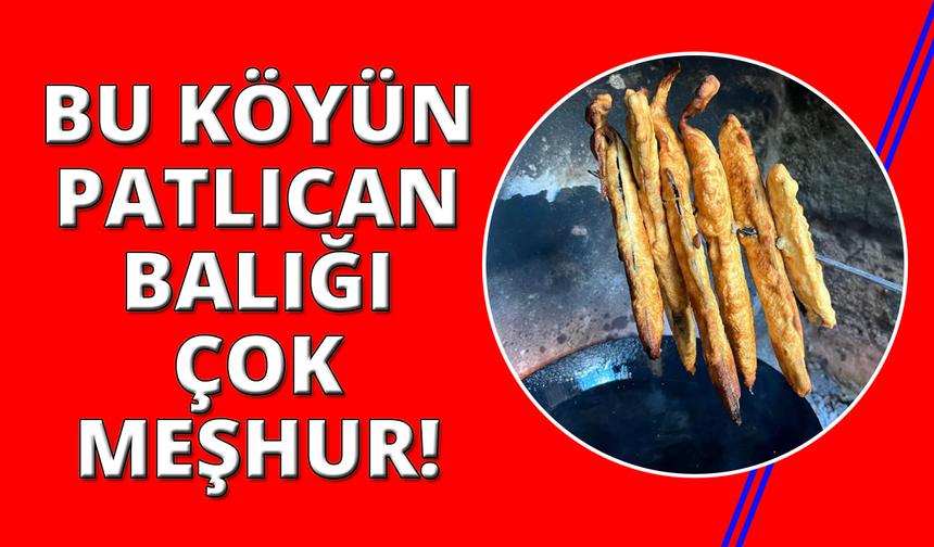 Bu köyde patlıcan et kadar kıymetli