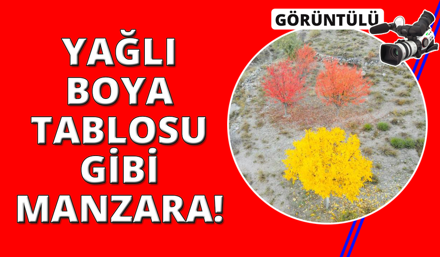 Yağlı boya tablolarını andıran sonbahar manzarası