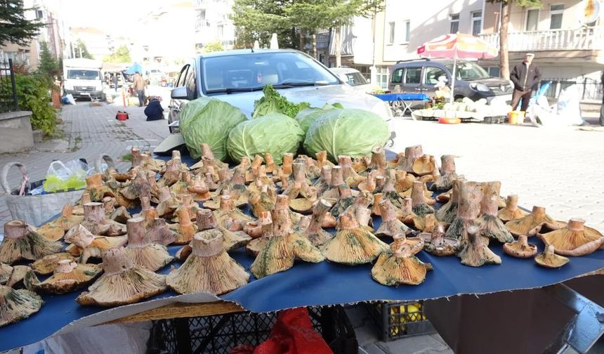 Kütahya'da 'Melki' bereketi